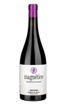 Magnético
