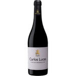 Ribeiro Santo Carlos Lucas Carlos Rodrigues