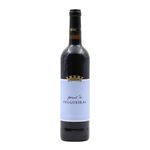 David Foral De Felgueiras Verde