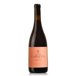 Biológico Vale da Capucha Syrah - Lisboa