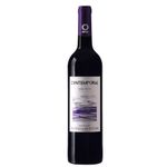 Contemporal Península de Setúbal