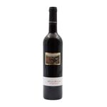 Montes Pintados Douro