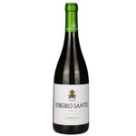 Ribeiro Santo