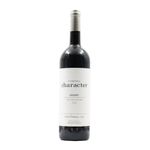Magnum Pintas Character Douro