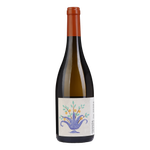 Quinta Várzea da Pedra Sauvignon