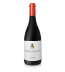 Ribeiro Santo