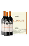 Malleolus (x3) com estojo