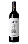 El Nen del Celler