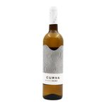 Curva Douro