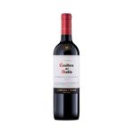 Casillero Del Diablo Cabernet Sauvignon Chile