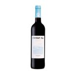 Contemporal Tejo