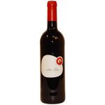 Luis Pato Baga Touriga Nacional