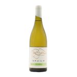 Infinitude Semillon