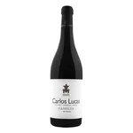 Carlos Lucas Família
