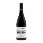 Sete Linhas Alicante Bouschet Alentejano