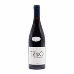 Pormenor Trilho Douro