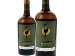 ciconia reserva alentejo