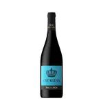 Catarina