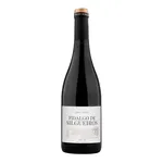 Fidalgo de Silgueiros