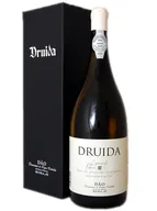Druida Encruzado