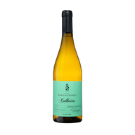 Horácio Simões Regional Branco