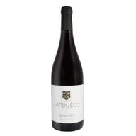 Anselmo Mendes Pardusco Tinto