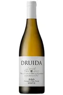 Druida Encruzado White