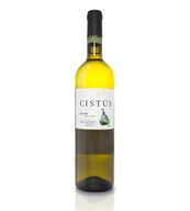 Cistus Branco
