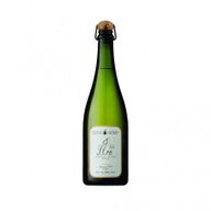 Nossa S.L.Ra Desde Com Decanter White