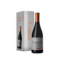 Cabriz Reserva Dão Tinto