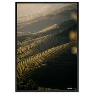Moldura Douro Valley Vineyards 