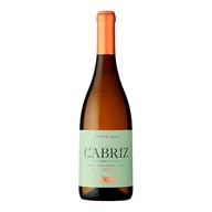 Cabriz Reserva Branco