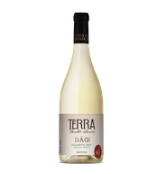 Terra