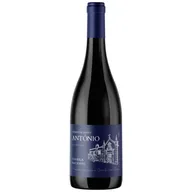 Quinta De Stº António Touriga Nacional Tinto