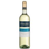 Fiuza Sauvignon Blanc Tejo White