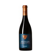 Andreza Tinto