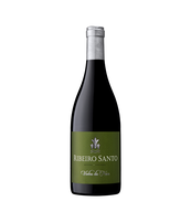 Ribeiro Santo