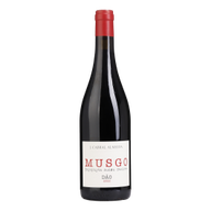 Musgo