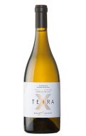 Teira X White