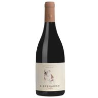 Quinta De São Bernardo Carlota