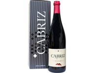 Cabriz Magnum Dão Red