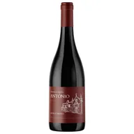 Quinta De Stº António Alfrocheiro Tinto