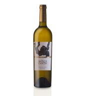 Monte Cascas White