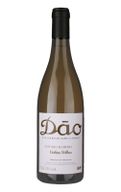 António Vinhas Velhas Branco