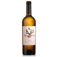 Terra A Terra Reserva - Douro White