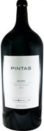 Pintas 9l Red