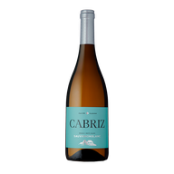 Cabriz Sauvignon Branco