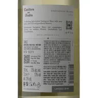 Casillero Del Diablo Sauvignon