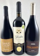 Trio Irrepetível 4 