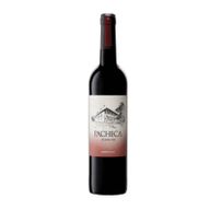 Pacheca Tinto